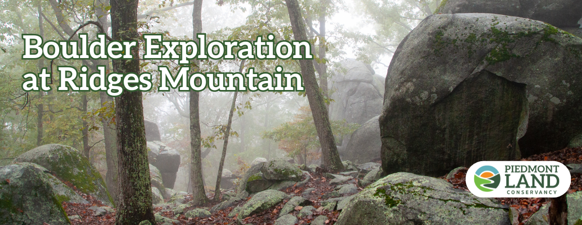 Slow Hikers Club Outing at Ridges Mountain 2/15/26